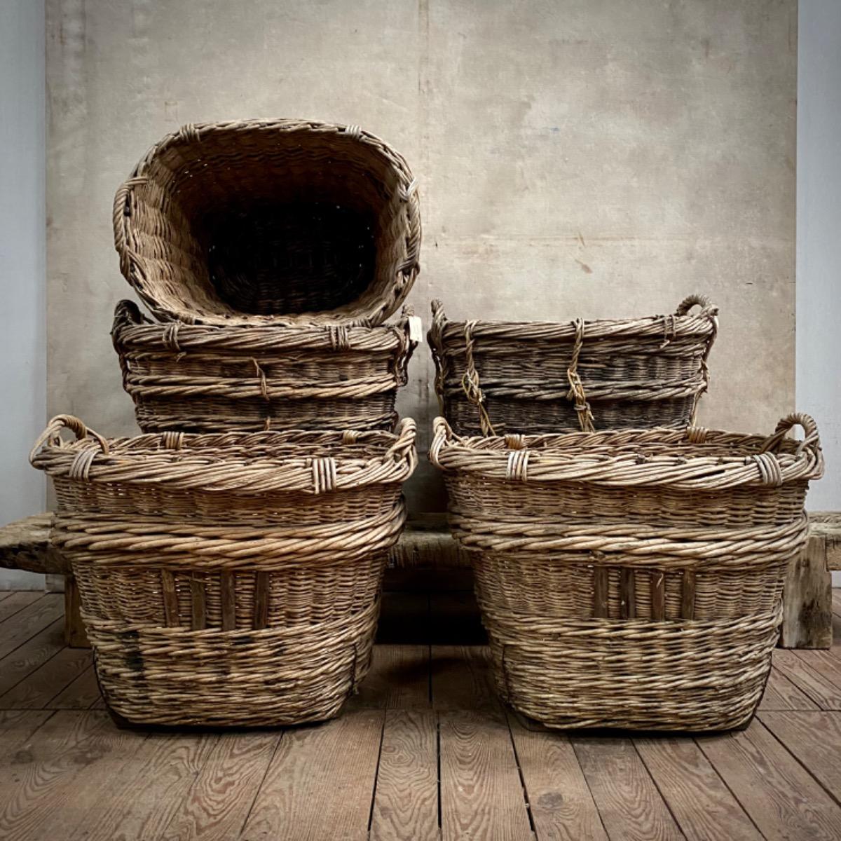 Champagne grape harvest baskets 