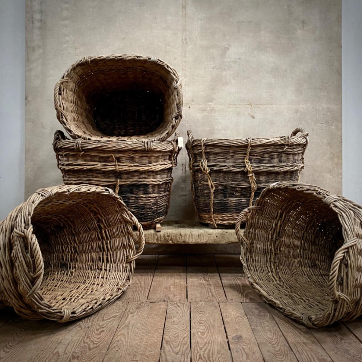 Champagne grape harvest baskets 