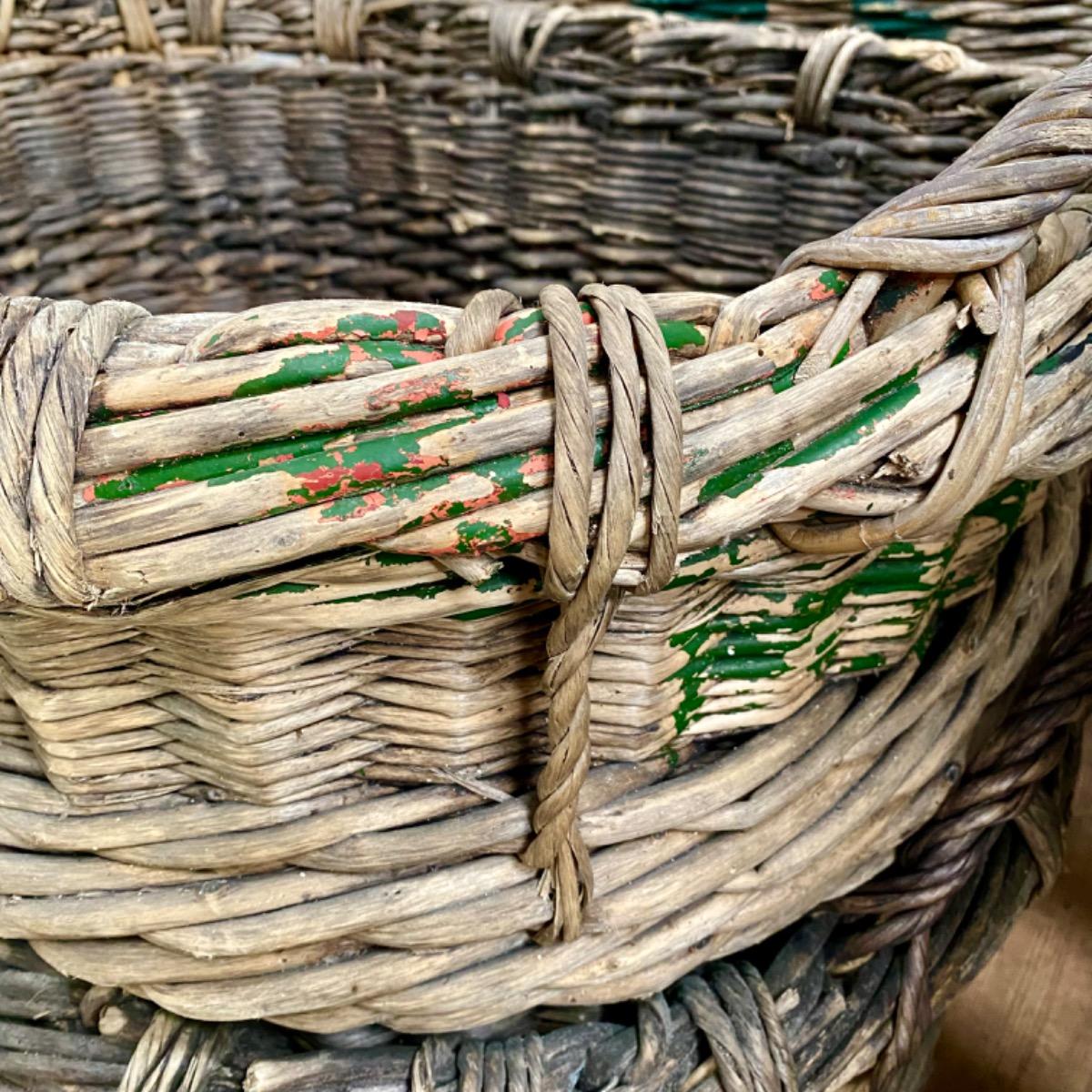 Champagne grape harvest baskets 