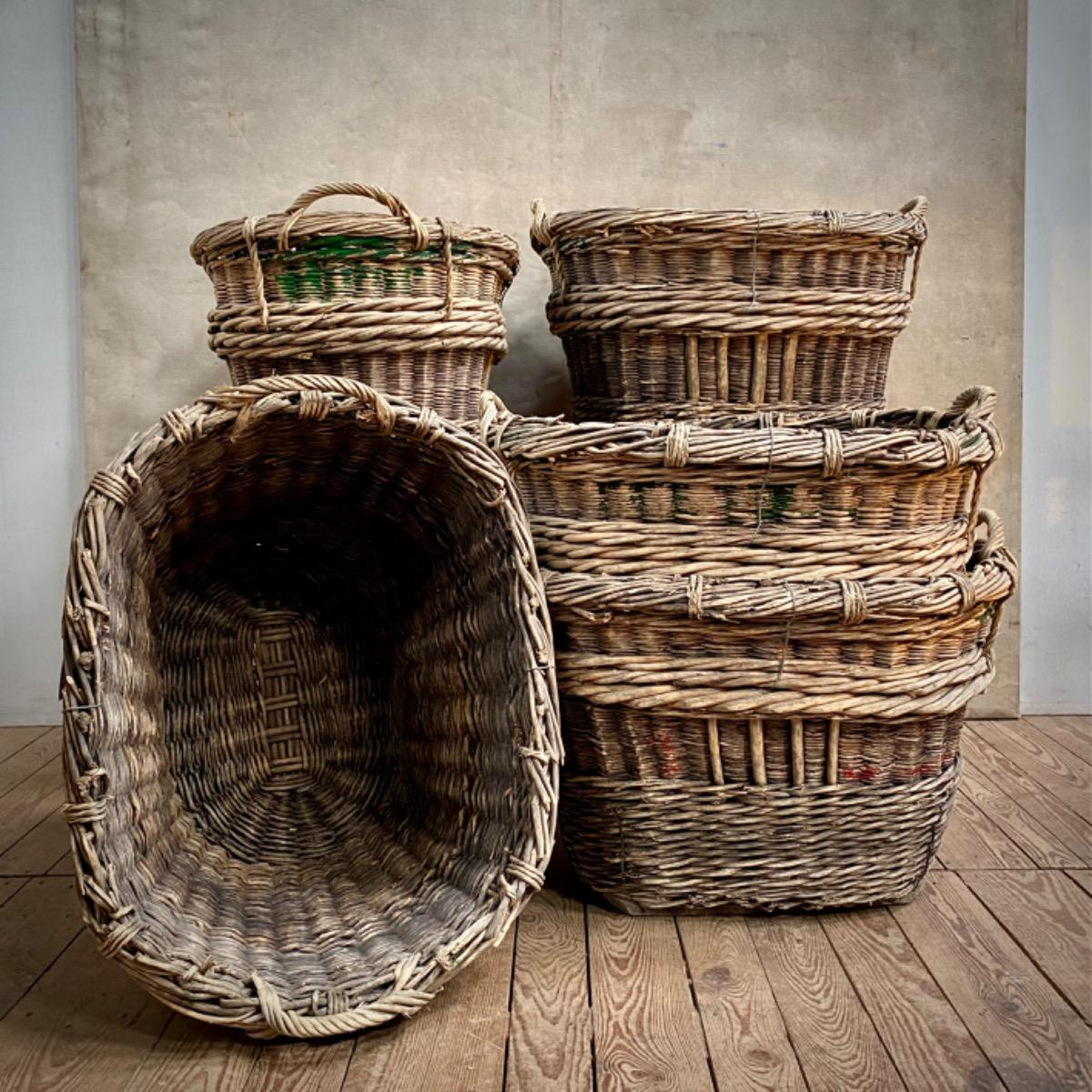 CHAMPAGNE GRAPE HARVEST BASKETS