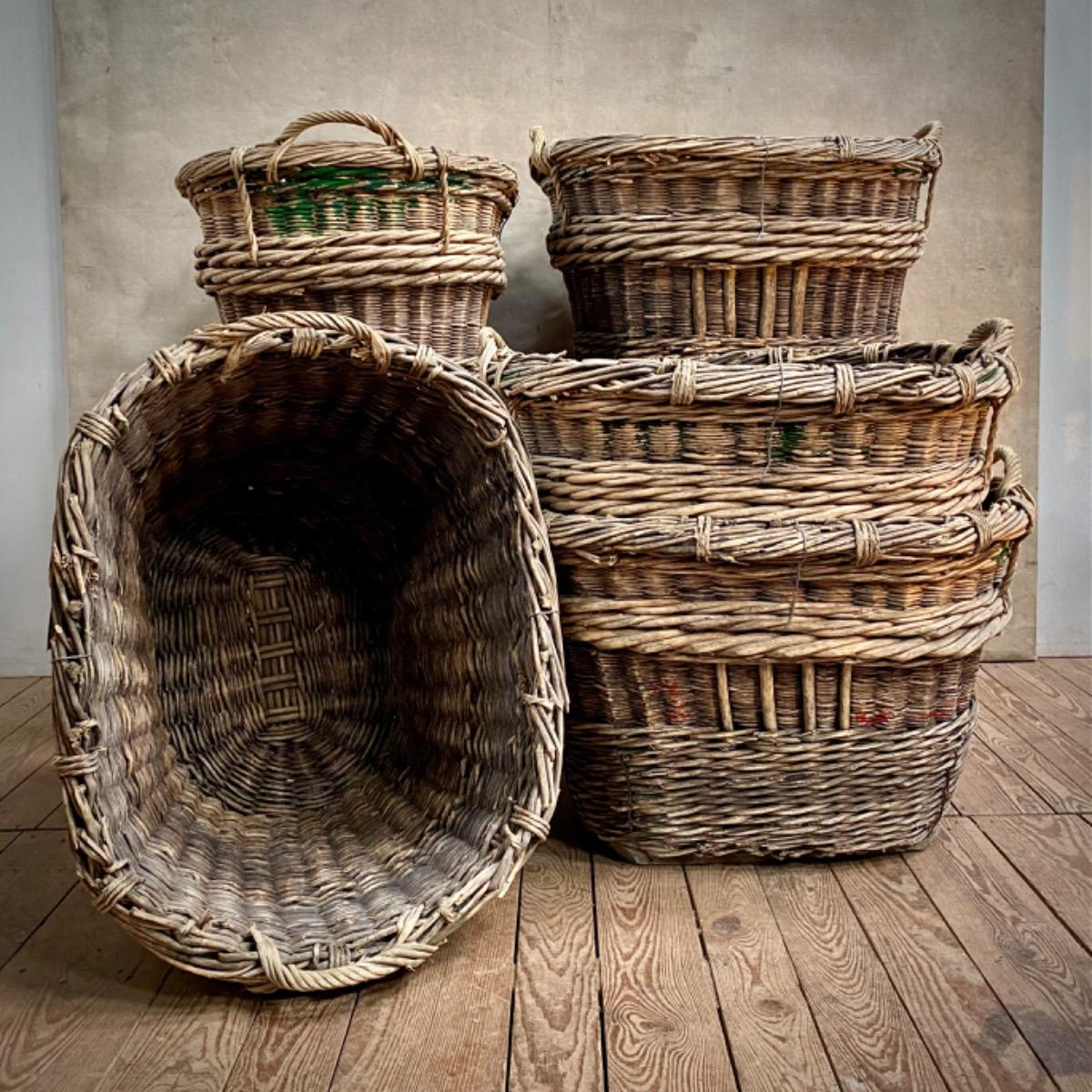 CHAMPAGNE GRAPE HARVEST BASKETS