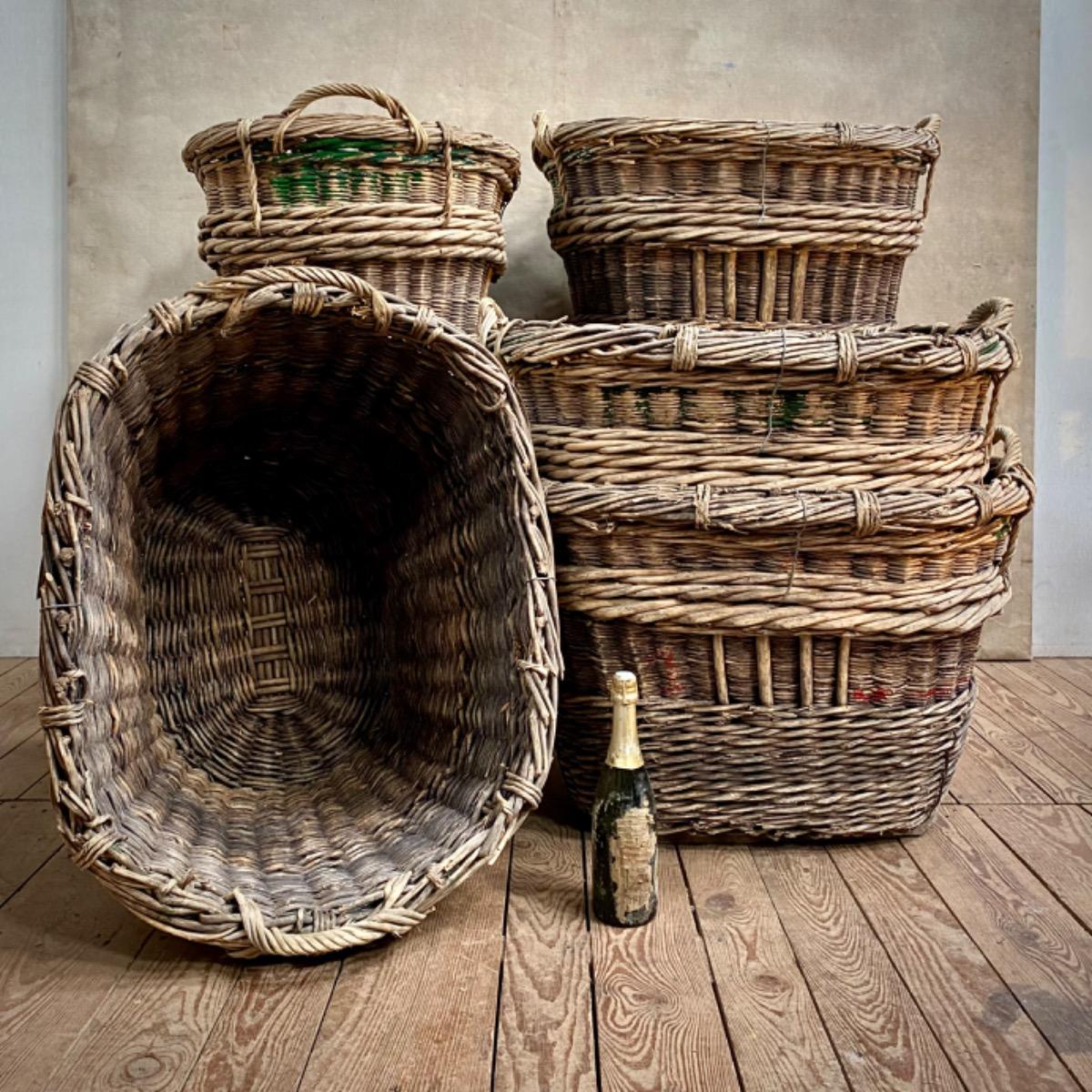 CHAMPAGNE GRAPE HARVEST BASKETS