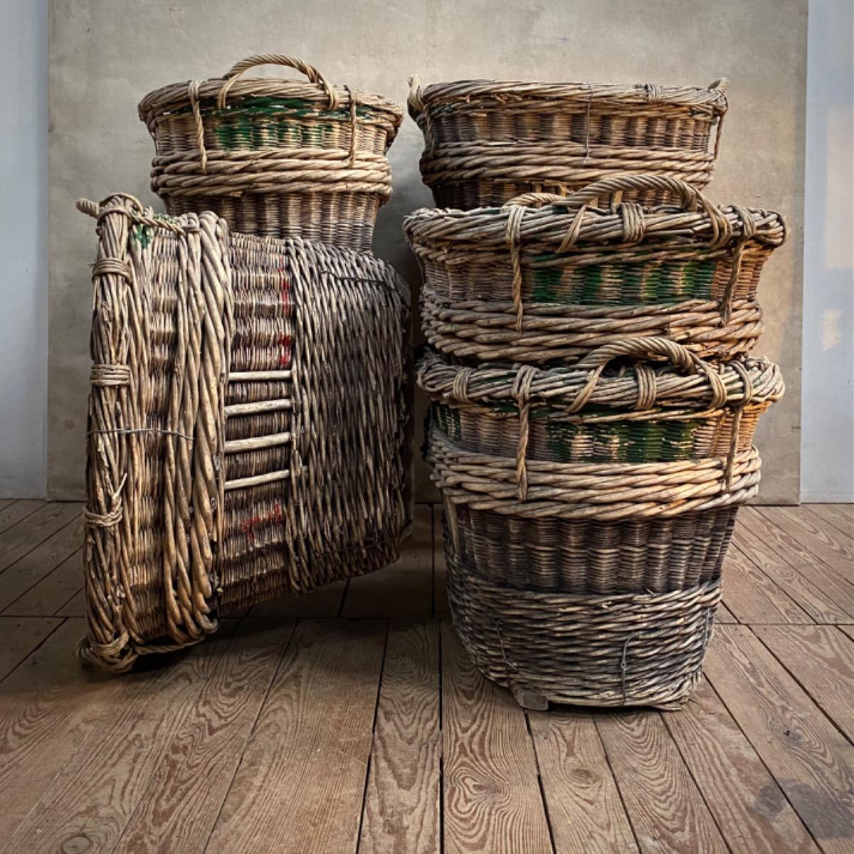 CHAMPAGNE GRAPE HARVEST BASKETS