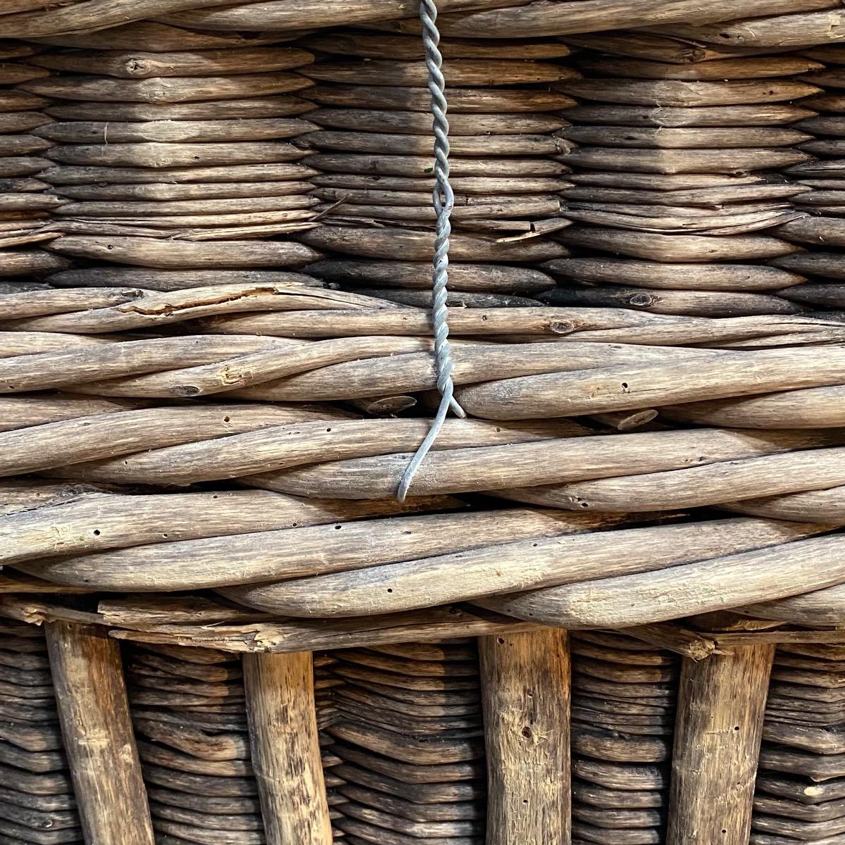 CHAMPAGNE GRAPE HARVEST BASKETS