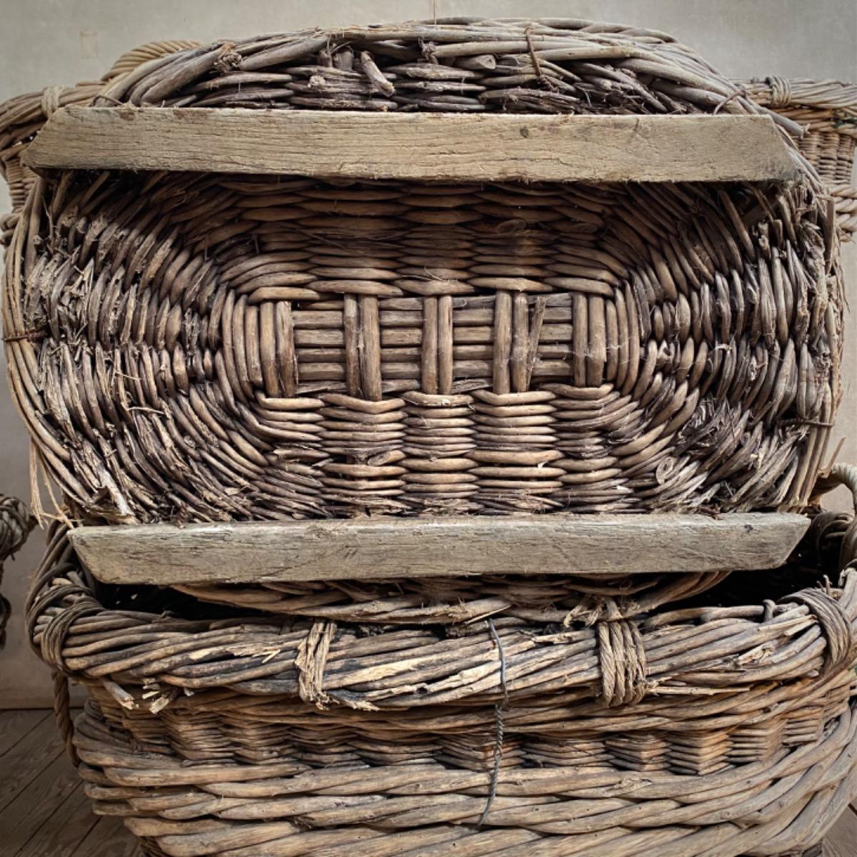 CHAMPAGNE GRAPE HARVEST BASKETS