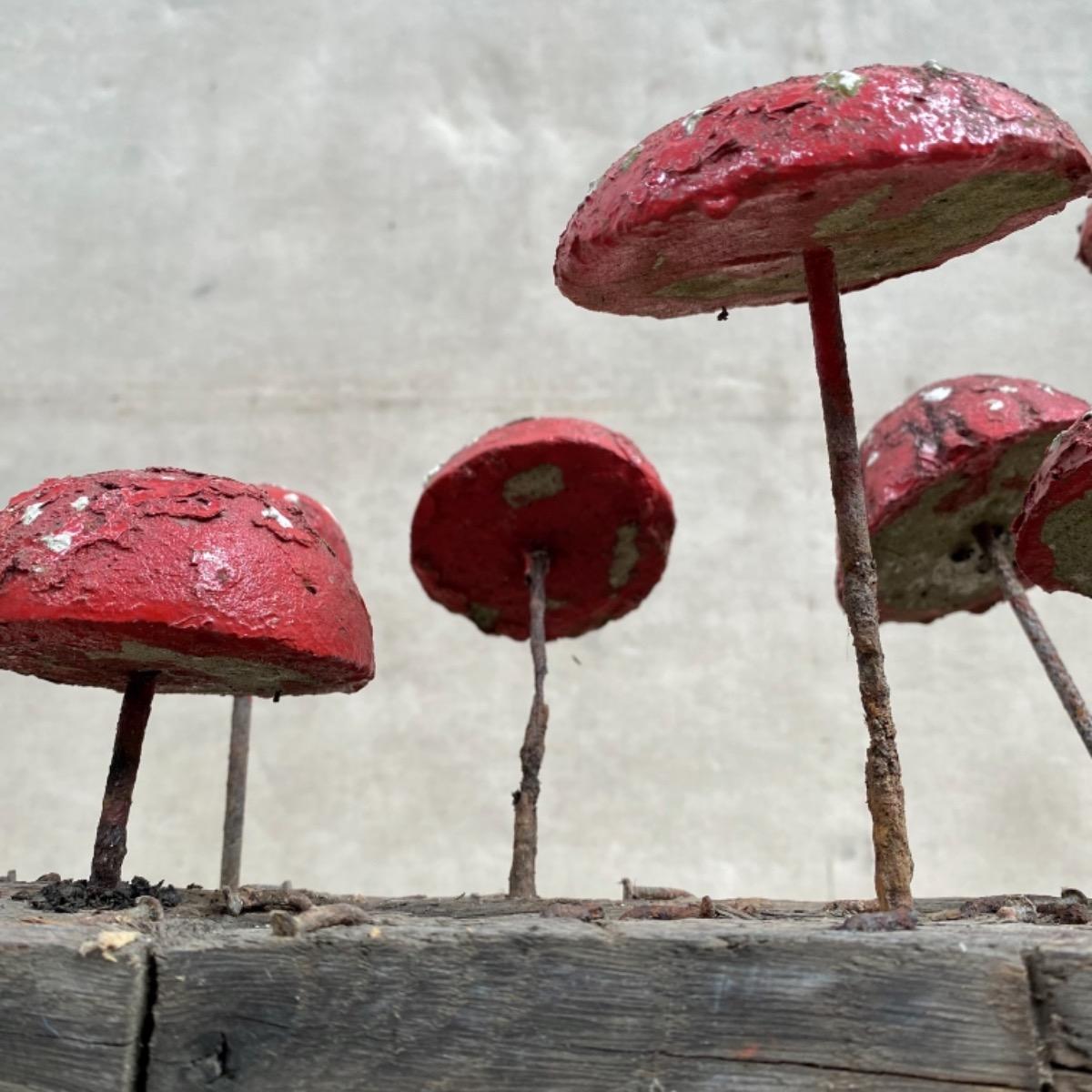 Garden mushrooms 