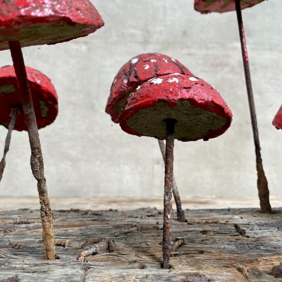 Garden mushrooms 