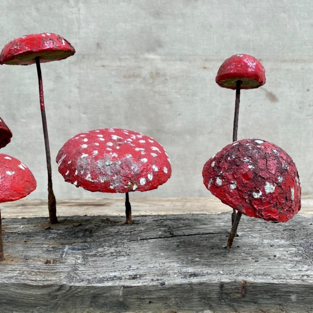 Garden mushrooms 