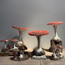 Garden mushrooms