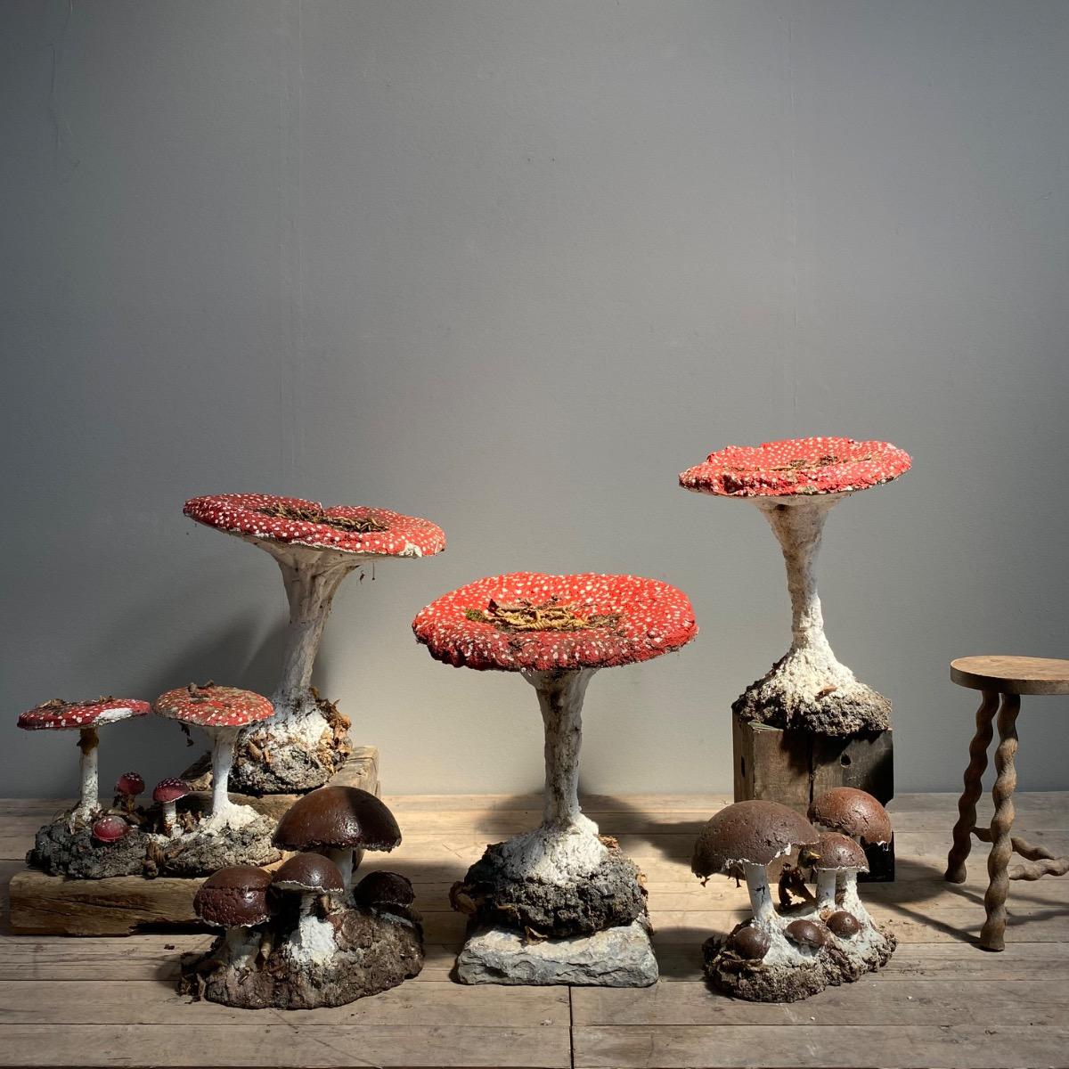 Garden mushrooms