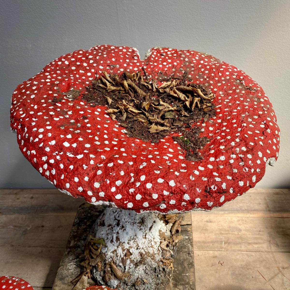 Garden mushrooms