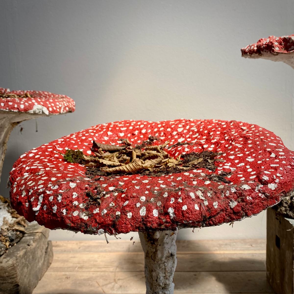 Garden mushrooms