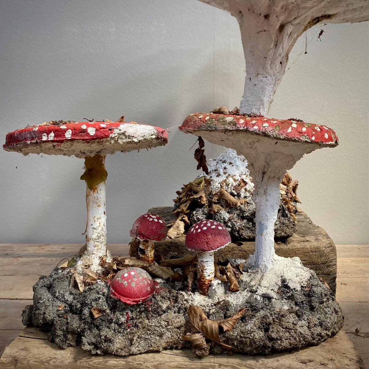 Garden mushrooms