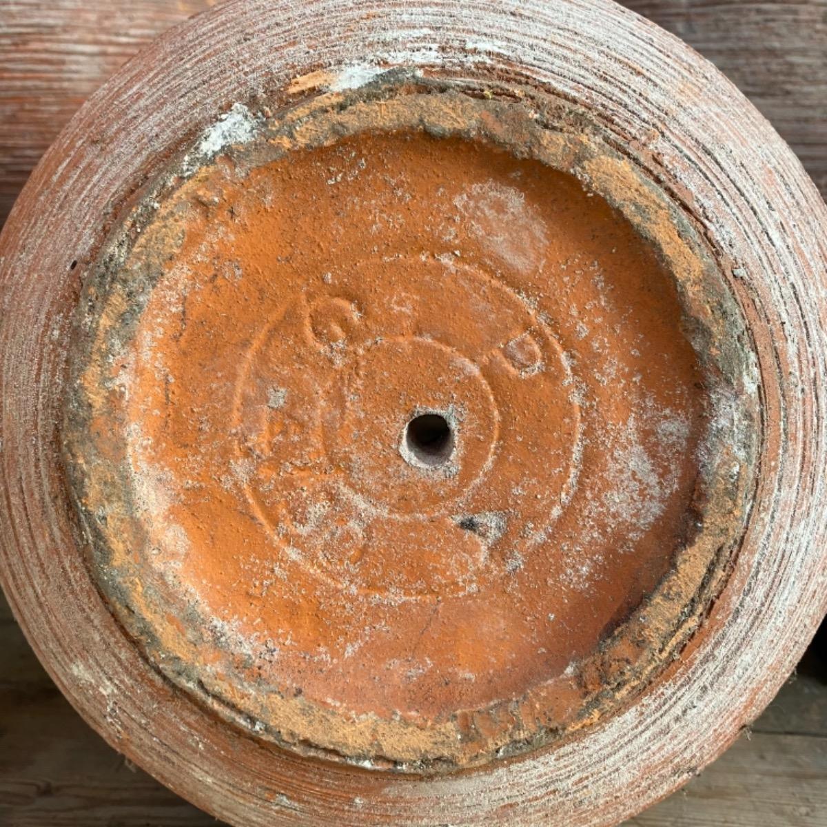 Garden terracotta jars