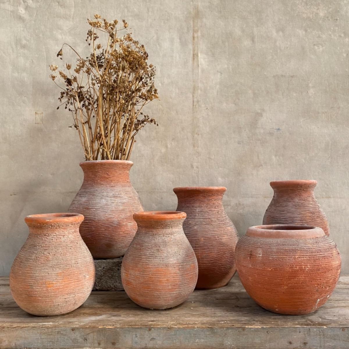 Garden terracotta jars