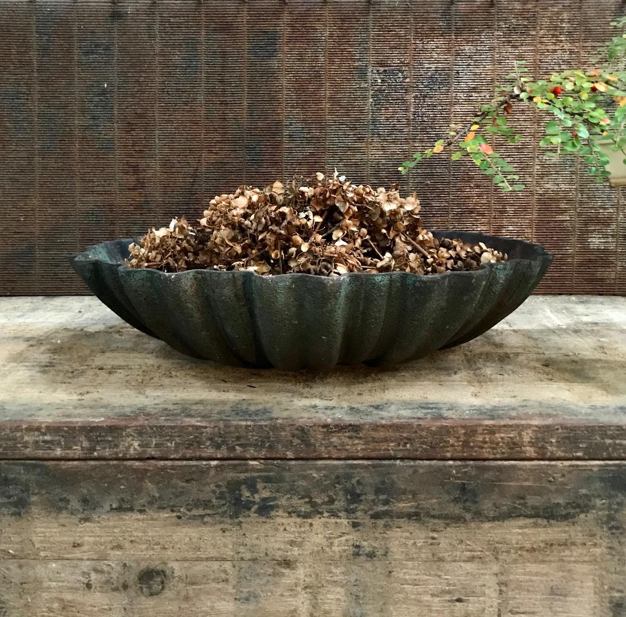 Large cast iron shell - Garden - Collection - Eric Bienaime