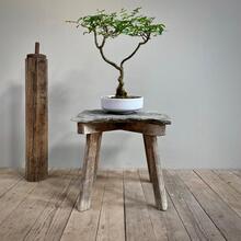 Primitive table