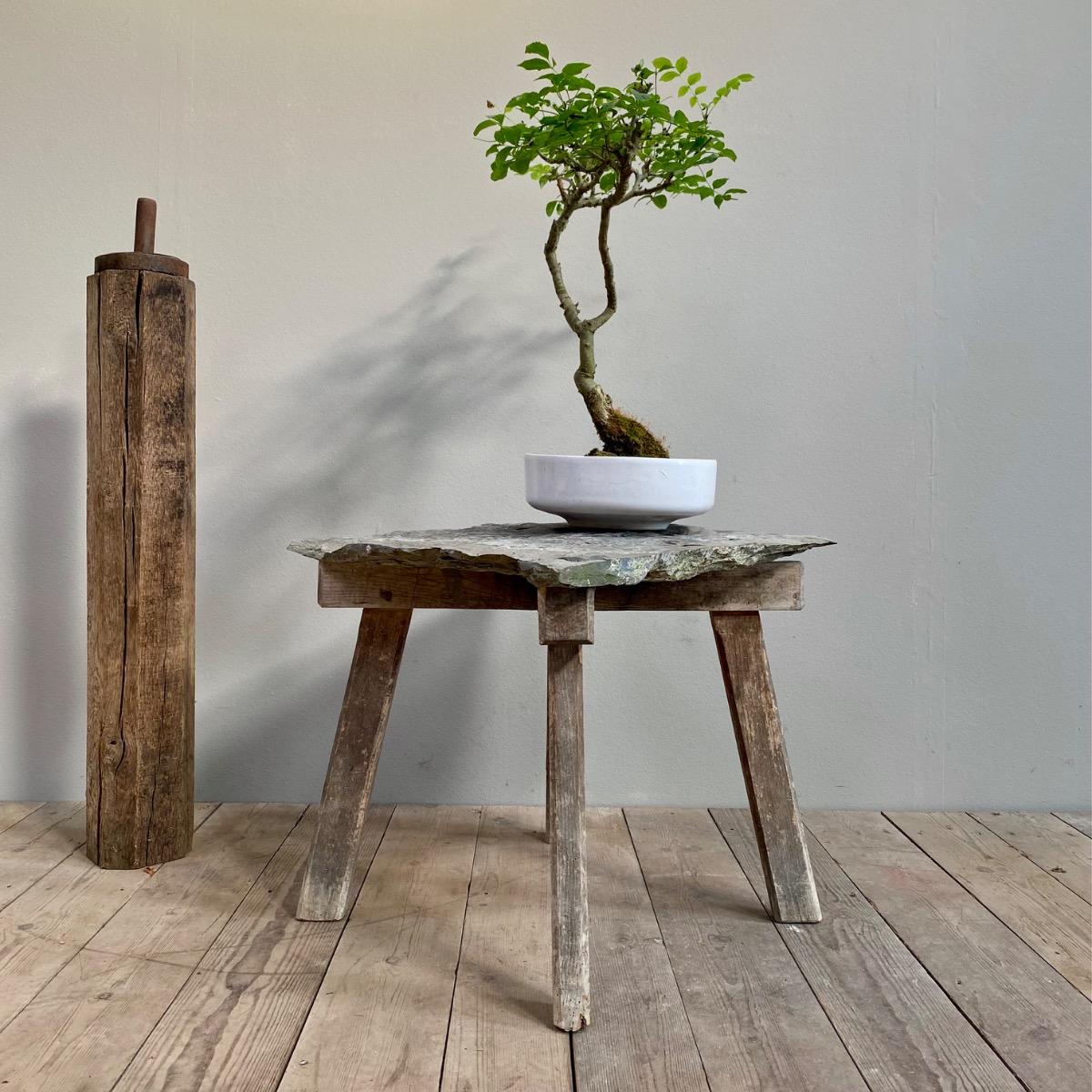 Primitive table