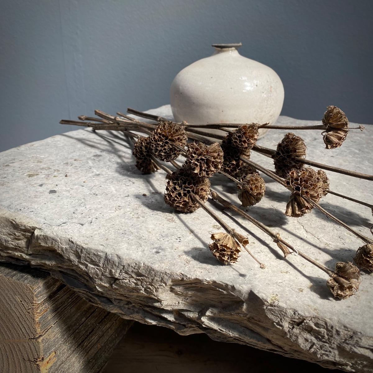 Stone & wood low table