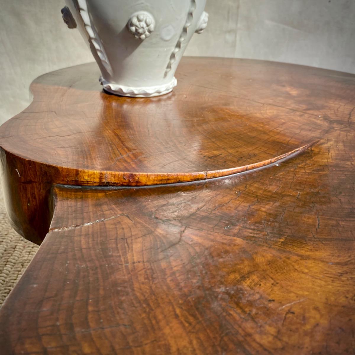 Tree slice table