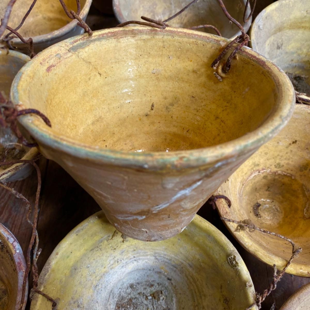 Vineyards pots